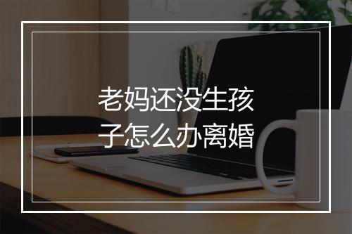 老妈还没生孩子怎么办离婚