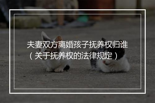 夫妻双方离婚孩子抚养权归谁（关于抚养权的法律规定）