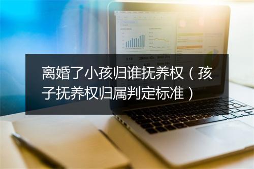 离婚了小孩归谁抚养权（孩子抚养权归属判定标准）