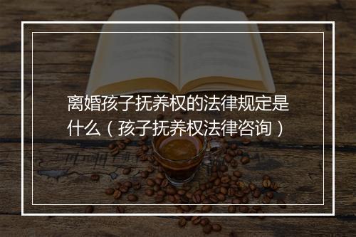 离婚孩子抚养权的法律规定是什么（孩子抚养权法律咨询）