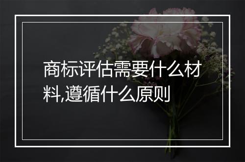 商标评估需要什么材料,遵循什么原则