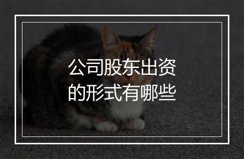 公司股东出资的形式有哪些