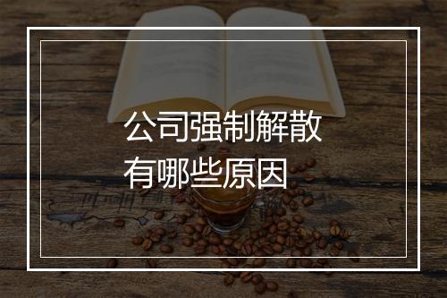 公司强制解散有哪些原因