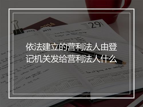 依法建立的营利法人由登记机关发给营利法人什么