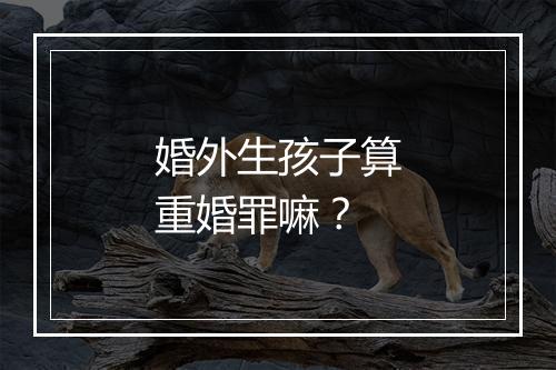 婚外生孩子算重婚罪嘛？