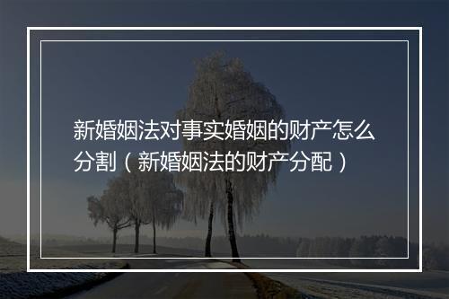 新婚姻法对事实婚姻的财产怎么分割（新婚姻法的财产分配）