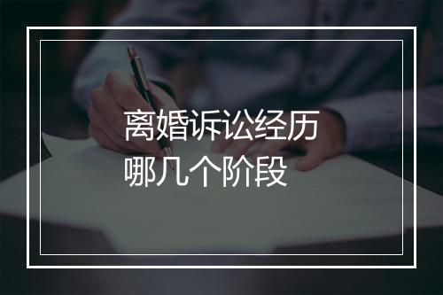 离婚诉讼经历哪几个阶段