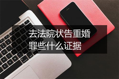 去法院状告重婚罪些什么证据