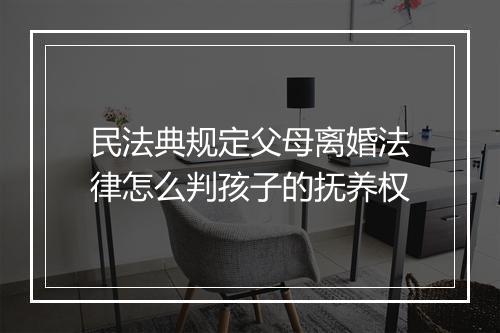 民法典规定父母离婚法律怎么判孩子的抚养权