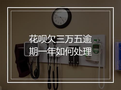 花呗欠三万五逾期一年如何处理