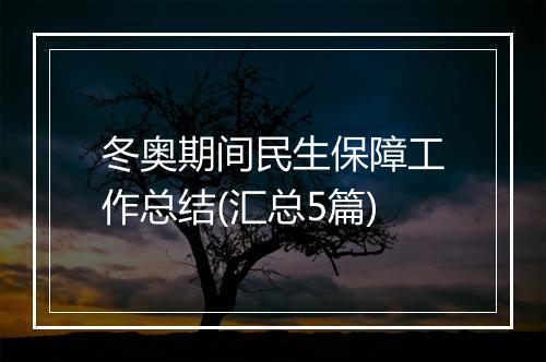 冬奥期间民生保障工作总结(汇总5篇)