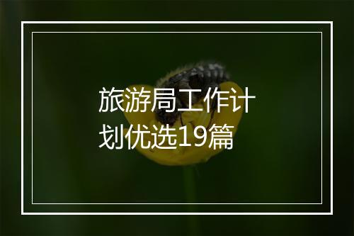 旅游局工作计划优选19篇