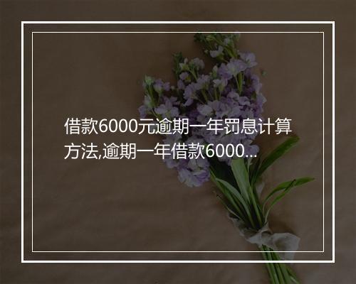 借款6000元逾期一年罚息计算方法,逾期一年借款6000元罚息多少