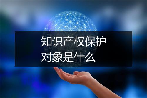 知识产权保护对象是什么