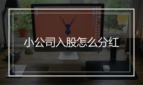 小公司入股怎么分红