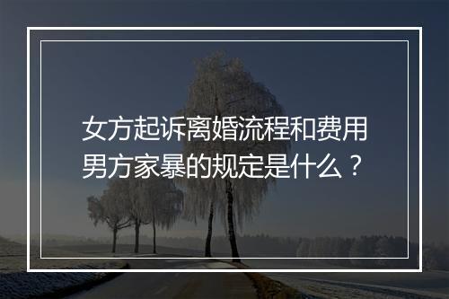 女方起诉离婚流程和费用男方家暴的规定是什么？