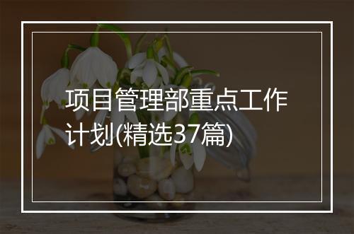 项目管理部重点工作计划(精选37篇)