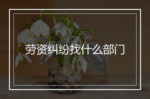 劳资纠纷找什么部门