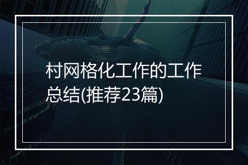 村网格化工作的工作总结(推荐23篇)