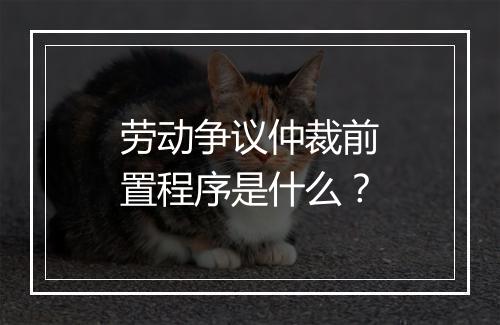 劳动争议仲裁前置程序是什么？