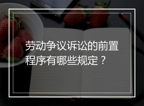 劳动争议诉讼的前置程序有哪些规定？