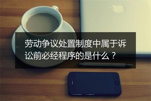 劳动争议处置制度中属于诉讼前必经程序的是什么？