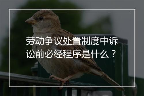 劳动争议处置制度中诉讼前必经程序是什么？