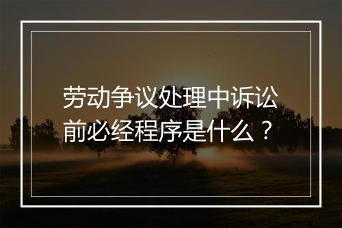 劳动争议处理中诉讼前必经程序是什么？