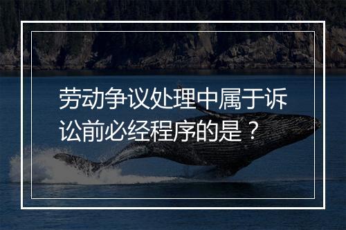 劳动争议处理中属于诉讼前必经程序的是？