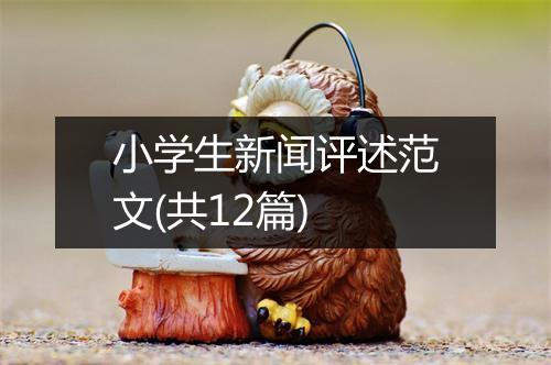 小学生新闻评述范文(共12篇)