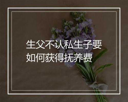 生父不认私生子要如何获得抚养费