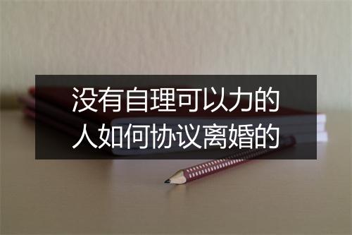 没有自理可以力的人如何协议离婚的