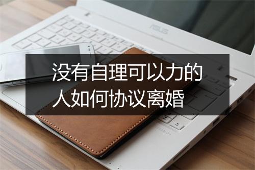 没有自理可以力的人如何协议离婚