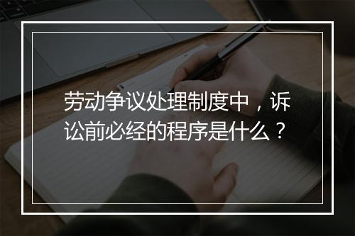 劳动争议处理制度中，诉讼前必经的程序是什么？
