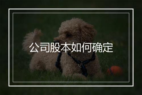 公司股本如何确定