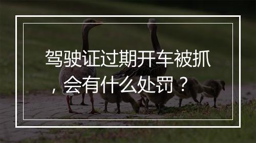 驾驶证过期开车被抓，会有什么处罚？