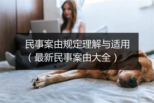 民事案由规定理解与适用（最新民事案由大全）