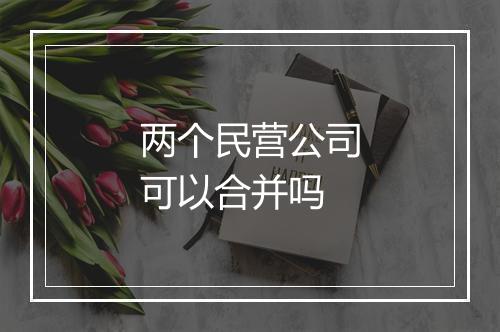 两个民营公司可以合并吗