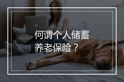 何谓个人储蓄养老保险？