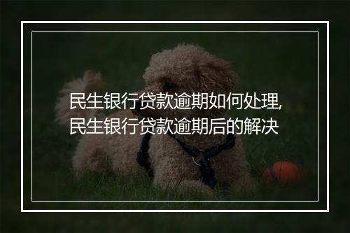 民生银行贷款逾期如何处理,民生银行贷款逾期后的解决