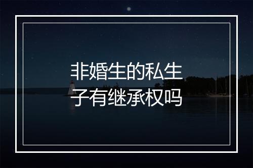 非婚生的私生子有继承权吗