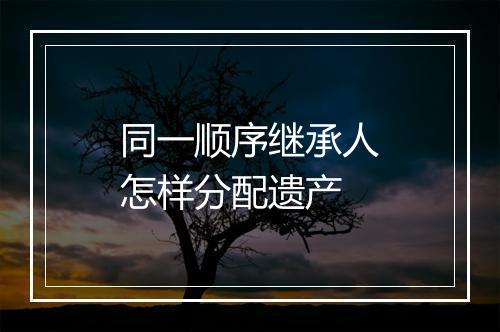 同一顺序继承人怎样分配遗产