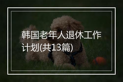 韩国老年人退休工作计划(共13篇)