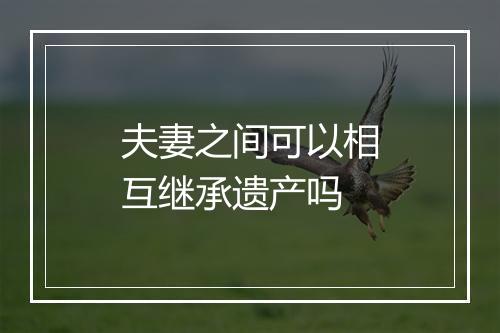 夫妻之间可以相互继承遗产吗