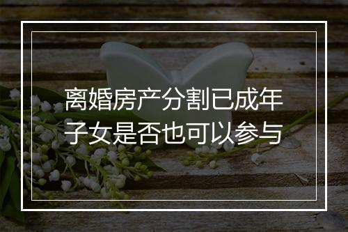 离婚房产分割已成年子女是否也可以参与