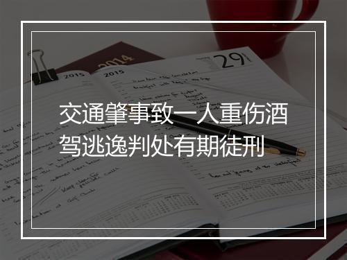 交通肇事致一人重伤酒驾逃逸判处有期徒刑