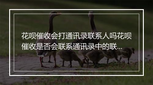 花呗催收会打通讯录联系人吗花呗催收是否会联系通讯录中的联系人
