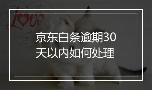 京东白条逾期30天以内如何处理