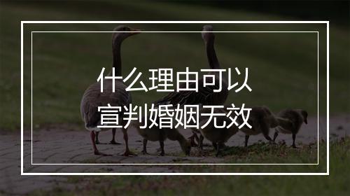 什么理由可以宣判婚姻无效