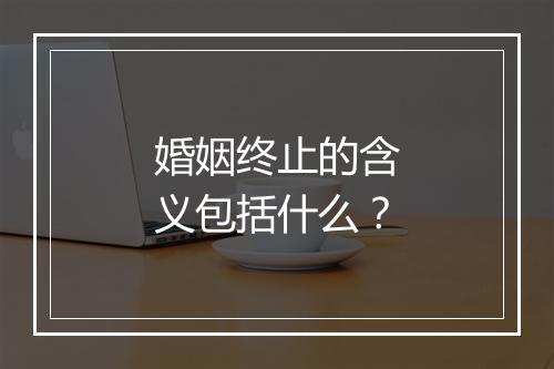 婚姻终止的含义包括什么？